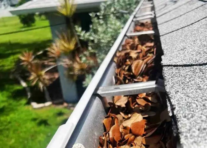 Albany gutter cleaning home page